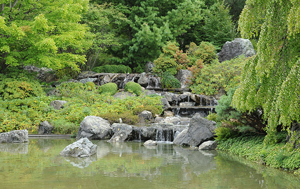 Japanese garden with waterfall