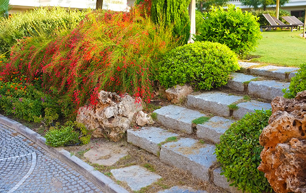 Garden with hardscape stairs